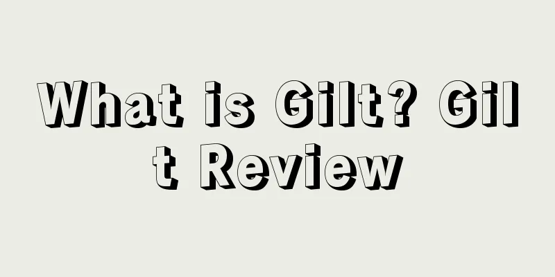 What is Gilt? Gilt Review