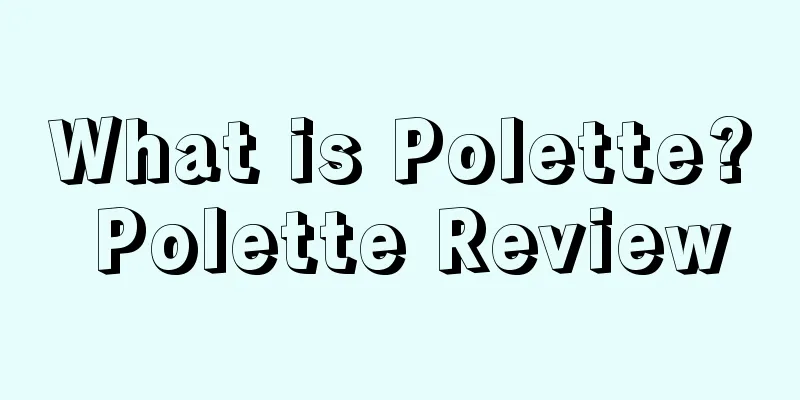 What is Polette? Polette Review