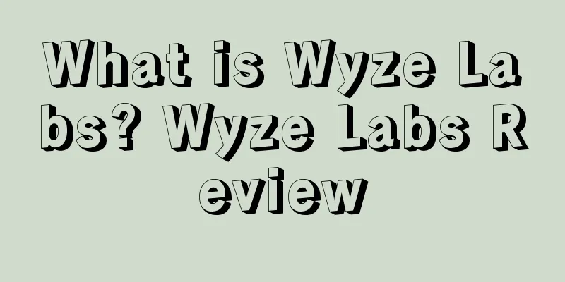 What is Wyze Labs? Wyze Labs Review
