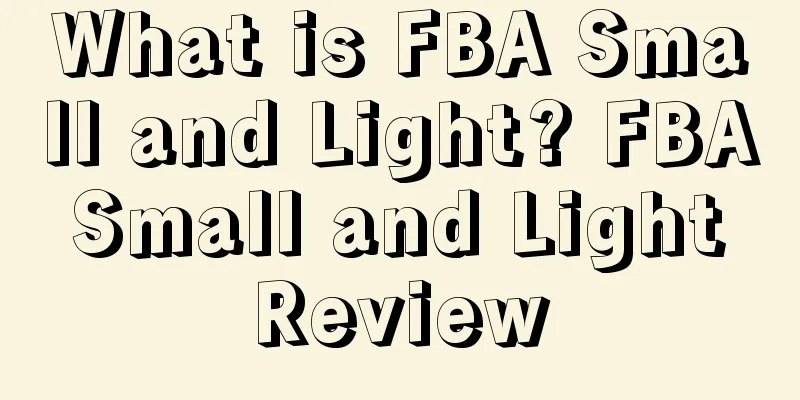 What is FBA Small and Light? FBA Small and Light Review