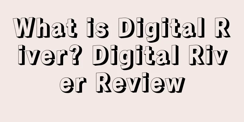 What is Digital River? Digital River Review