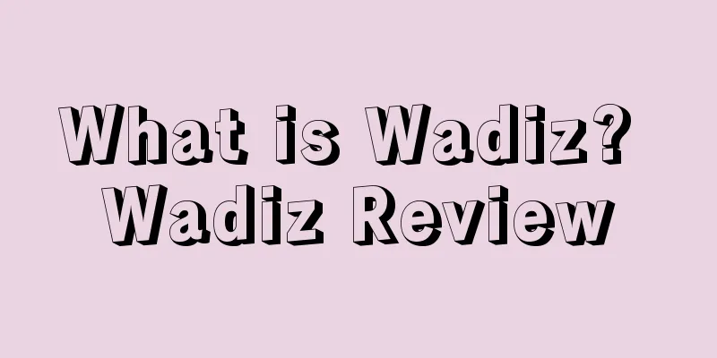 What is Wadiz? Wadiz Review