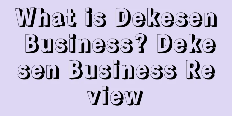 What is Dekesen Business? Dekesen Business Review