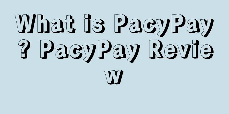 What is PacyPay? PacyPay Review