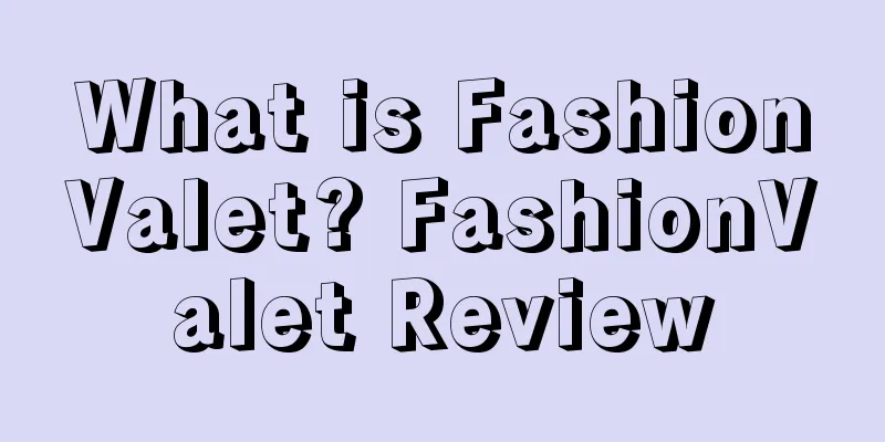 What is FashionValet? FashionValet Review