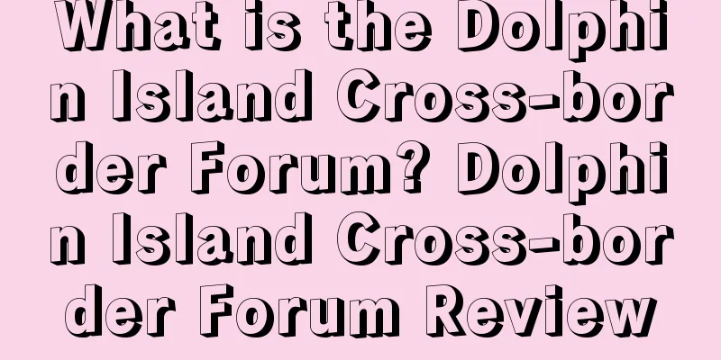 What is the Dolphin Island Cross-border Forum? Dolphin Island Cross-border Forum Review