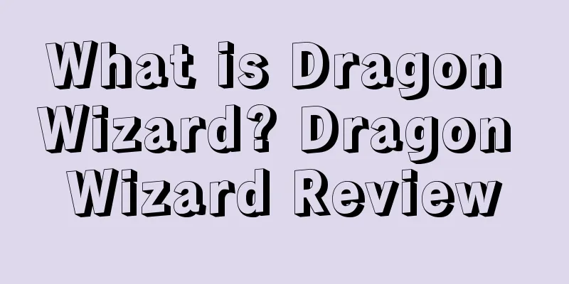 What is Dragon Wizard? Dragon Wizard Review