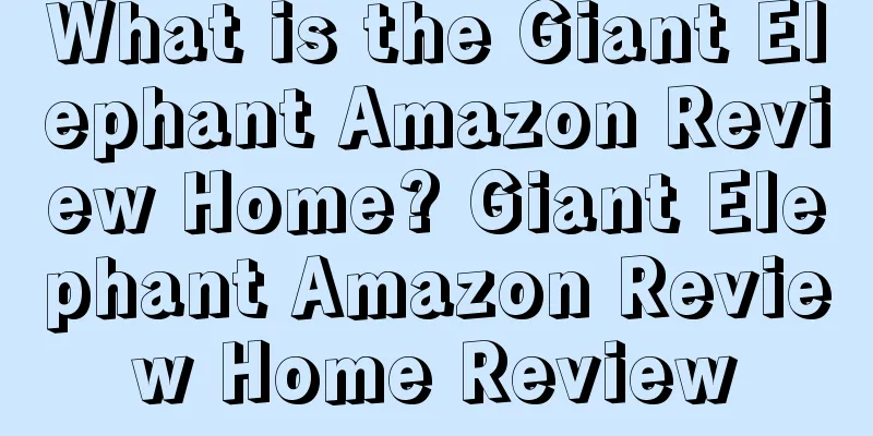 What is the Giant Elephant Amazon Review Home? Giant Elephant Amazon Review Home Review