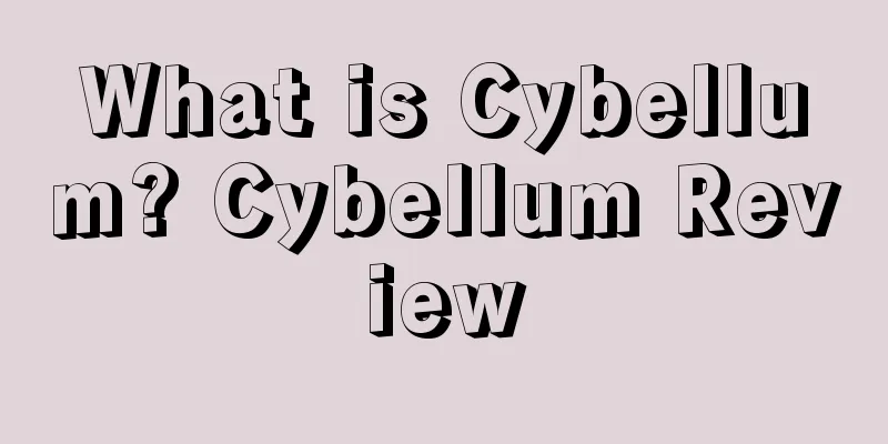What is Cybellum? Cybellum Review