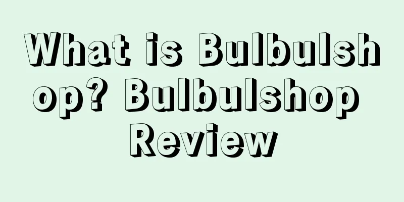 What is Bulbulshop? Bulbulshop Review