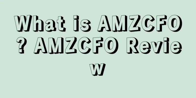 What is AMZCFO? AMZCFO Review