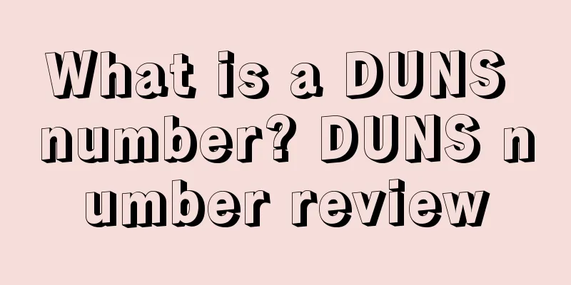 What is a DUNS number? DUNS number review