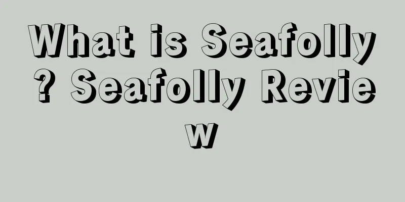What is Seafolly? Seafolly Review