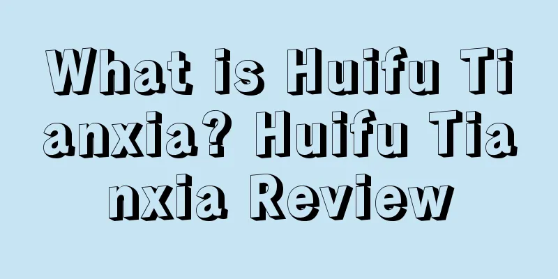 What is Huifu Tianxia? Huifu Tianxia Review