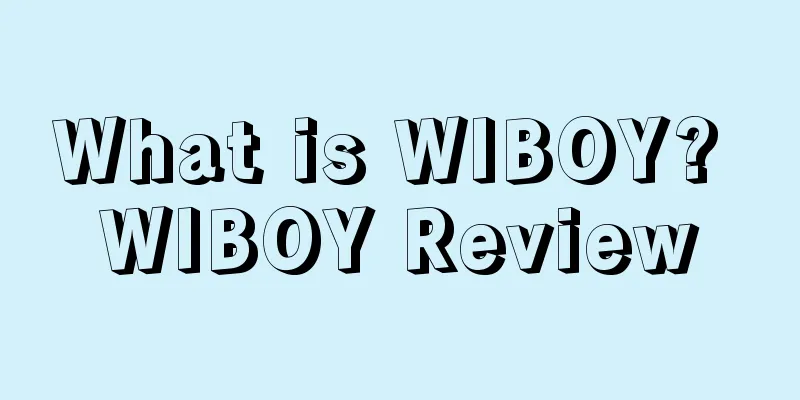 What is WIBOY? WIBOY Review
