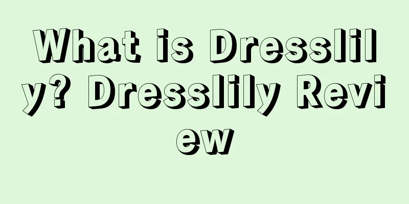 What is Dresslily? Dresslily Review