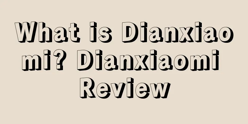 What is Dianxiaomi? Dianxiaomi Review