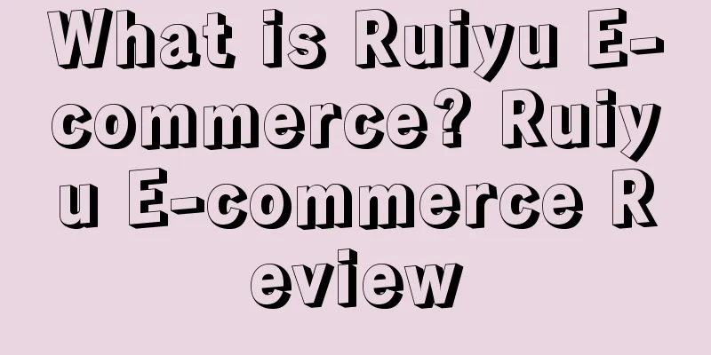 What is Ruiyu E-commerce? Ruiyu E-commerce Review