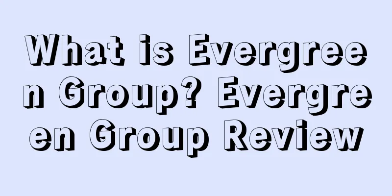 What is Evergreen Group? Evergreen Group Review