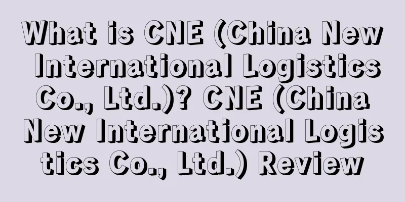 What is CNE (China New International Logistics Co., Ltd.)? CNE (China New International Logistics Co., Ltd.) Review