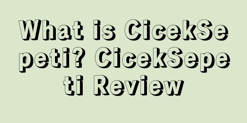 What is CicekSepeti? CicekSepeti Review