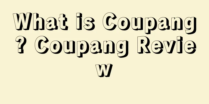 What is Coupang? Coupang Review