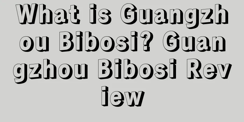 What is Guangzhou Bibosi? Guangzhou Bibosi Review