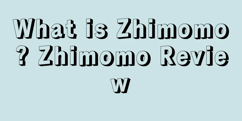 What is Zhimomo? Zhimomo Review