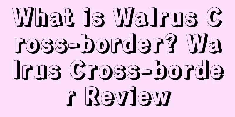 What is Walrus Cross-border? Walrus Cross-border Review