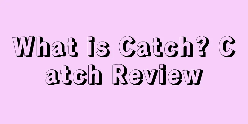 What is Catch? Catch Review