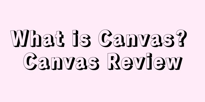 What is Canvas? Canvas Review