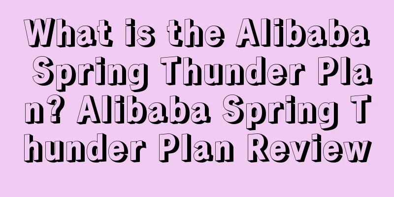 What is the Alibaba Spring Thunder Plan? Alibaba Spring Thunder Plan Review