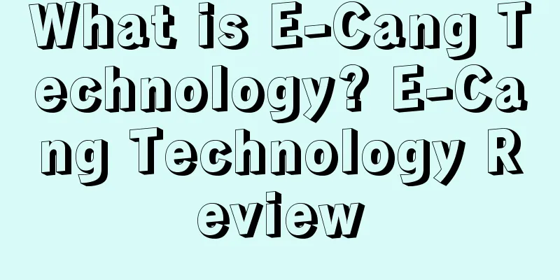 What is E-Cang Technology? E-Cang Technology Review