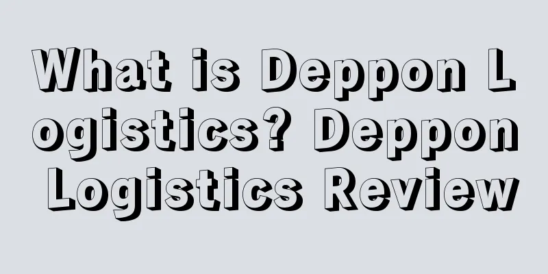 What is Deppon Logistics? Deppon Logistics Review