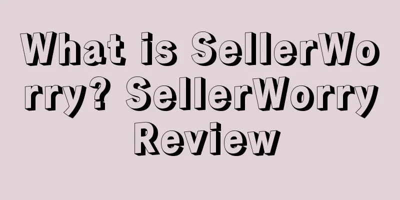 What is SellerWorry? SellerWorry Review