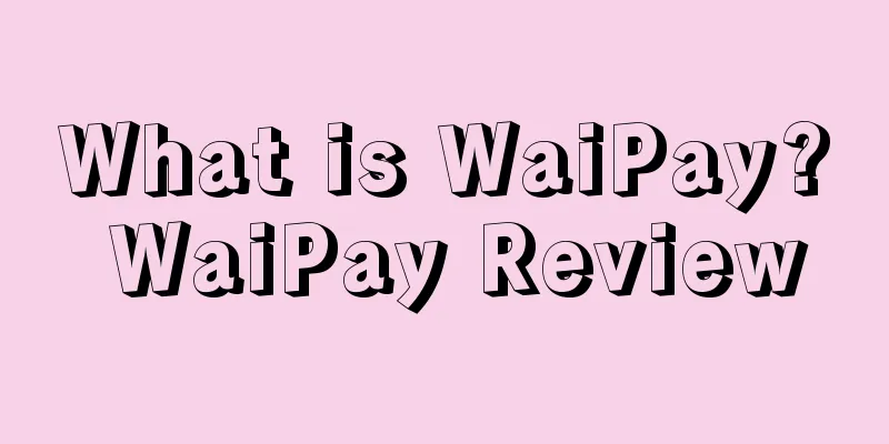 What is WaiPay? WaiPay Review