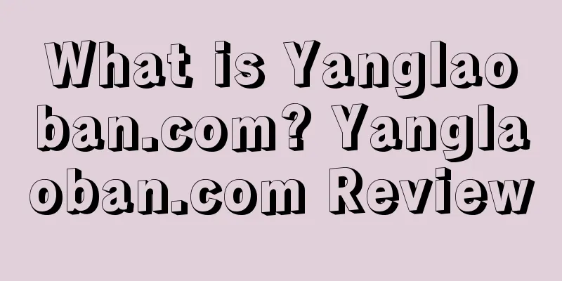 What is Yanglaoban.com? Yanglaoban.com Review