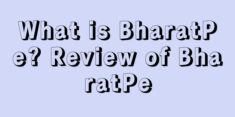 What is BharatPe? Review of BharatPe