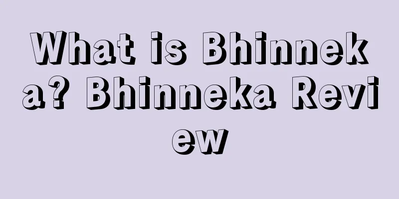 What is Bhinneka? Bhinneka Review