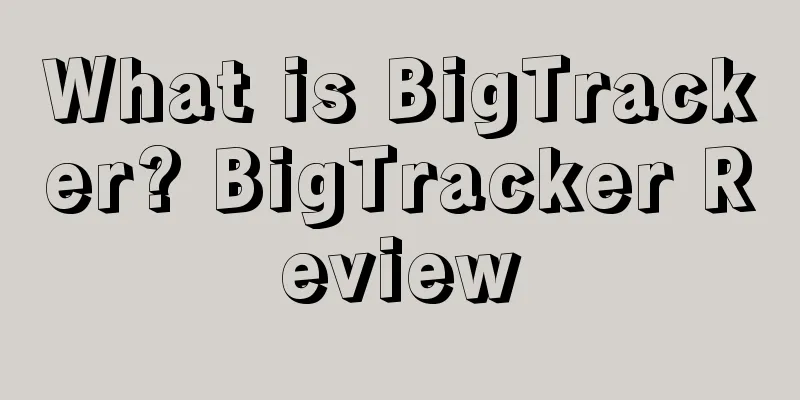 What is BigTracker? BigTracker Review