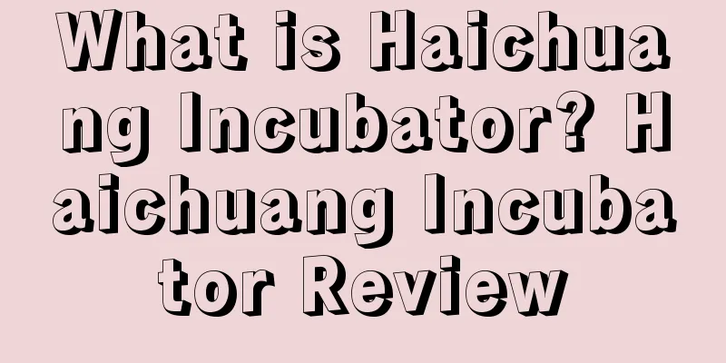 What is Haichuang Incubator? Haichuang Incubator Review
