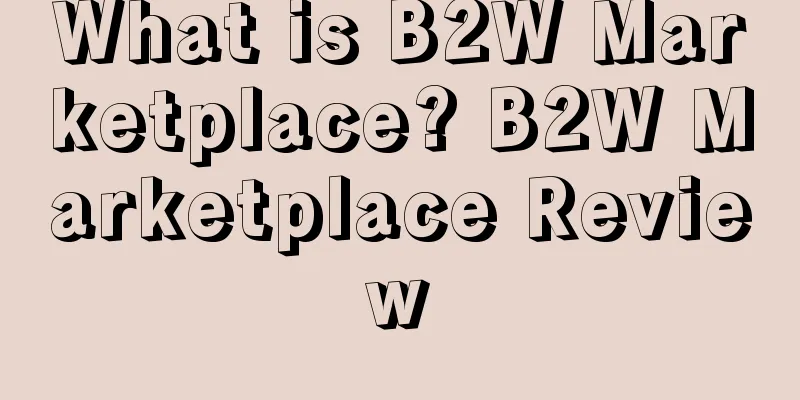 What is B2W Marketplace? B2W Marketplace Review