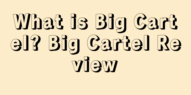 What is Big Cartel? Big Cartel Review
