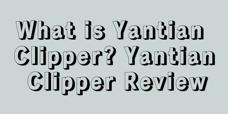 What is Yantian Clipper? Yantian Clipper Review