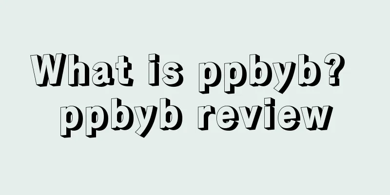 What is ppbyb? ppbyb review