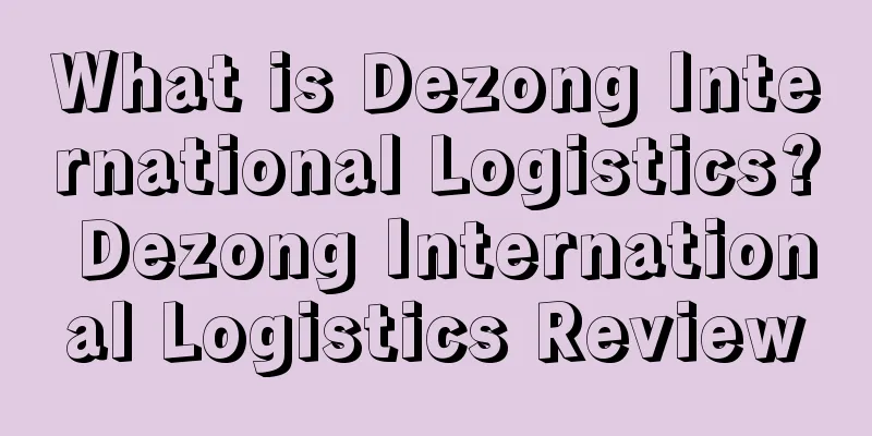 What is Dezong International Logistics? Dezong International Logistics Review