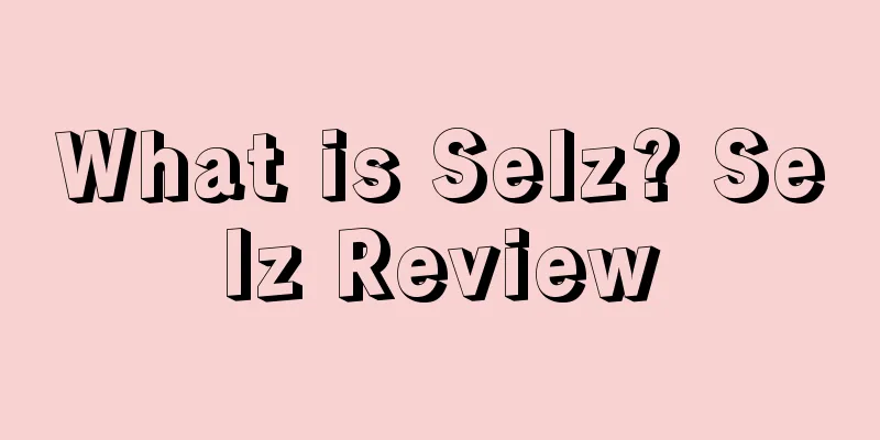 What is Selz? Selz Review