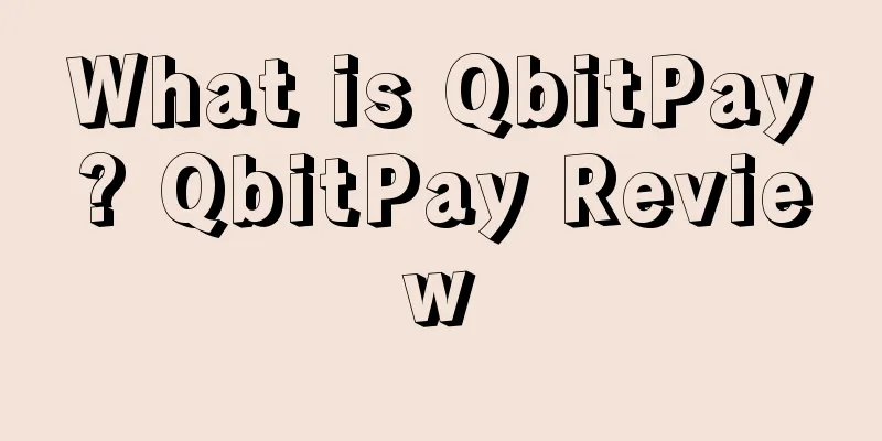 What is QbitPay? QbitPay Review