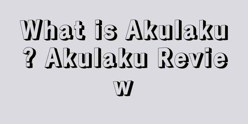 What is Akulaku? Akulaku Review