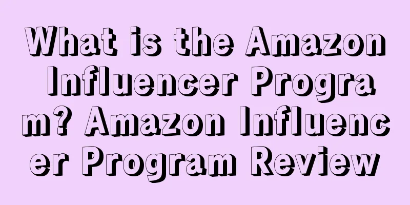 What is the Amazon Influencer Program? Amazon Influencer Program Review